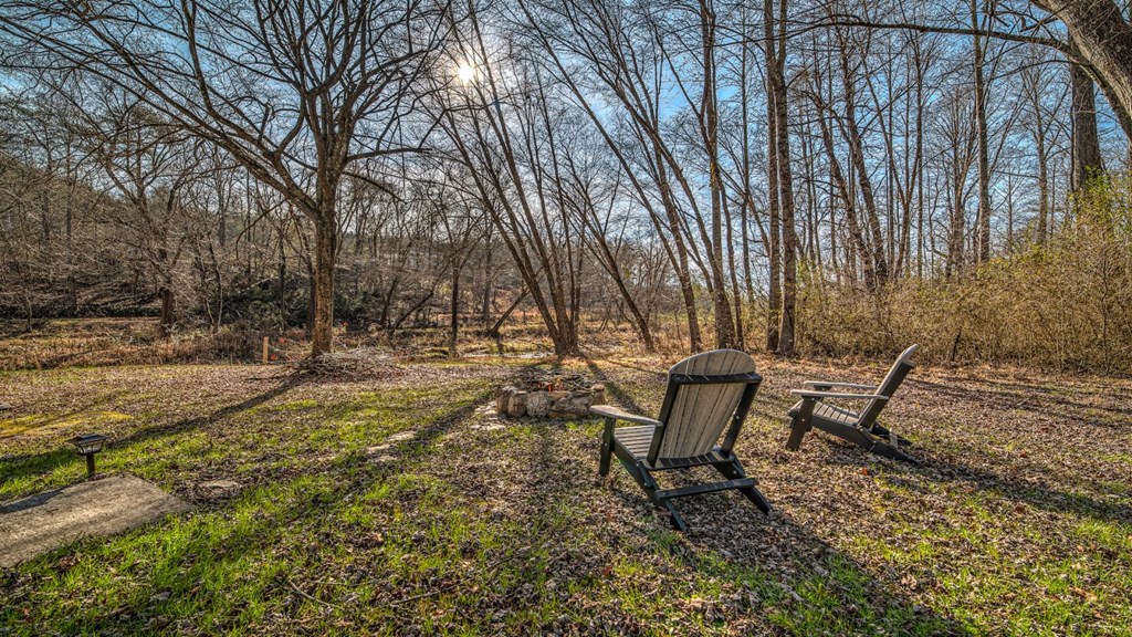 141 Mountain Rivers Road Mineral Bluff, GA 30559 - Photo 5 of 27 Gallery Image 5