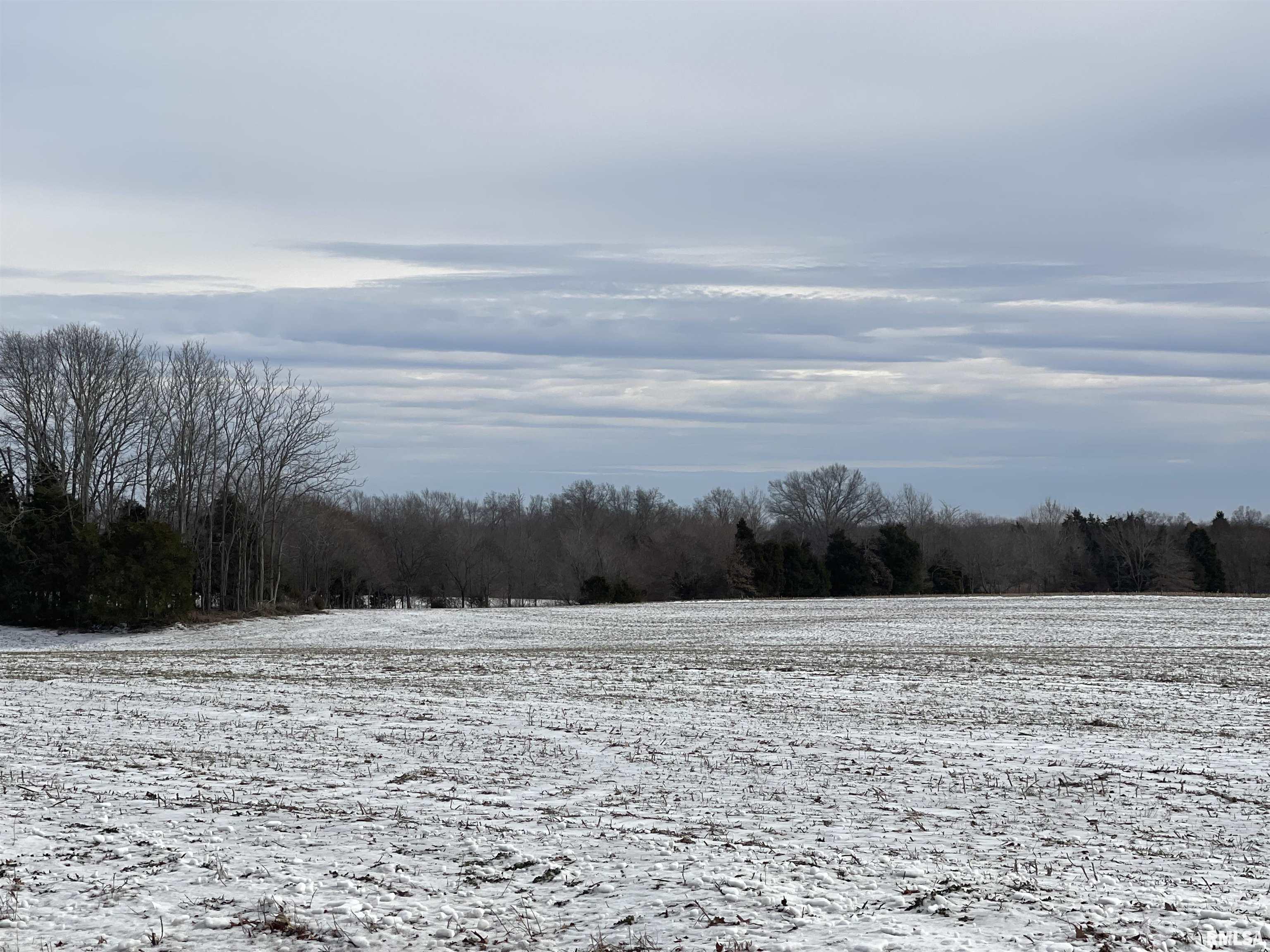 Tbd Paulton Road Pittsburg, IL 62974 - Photo 3 of 7