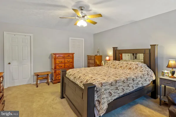 a bathroom with a shower and a toilet