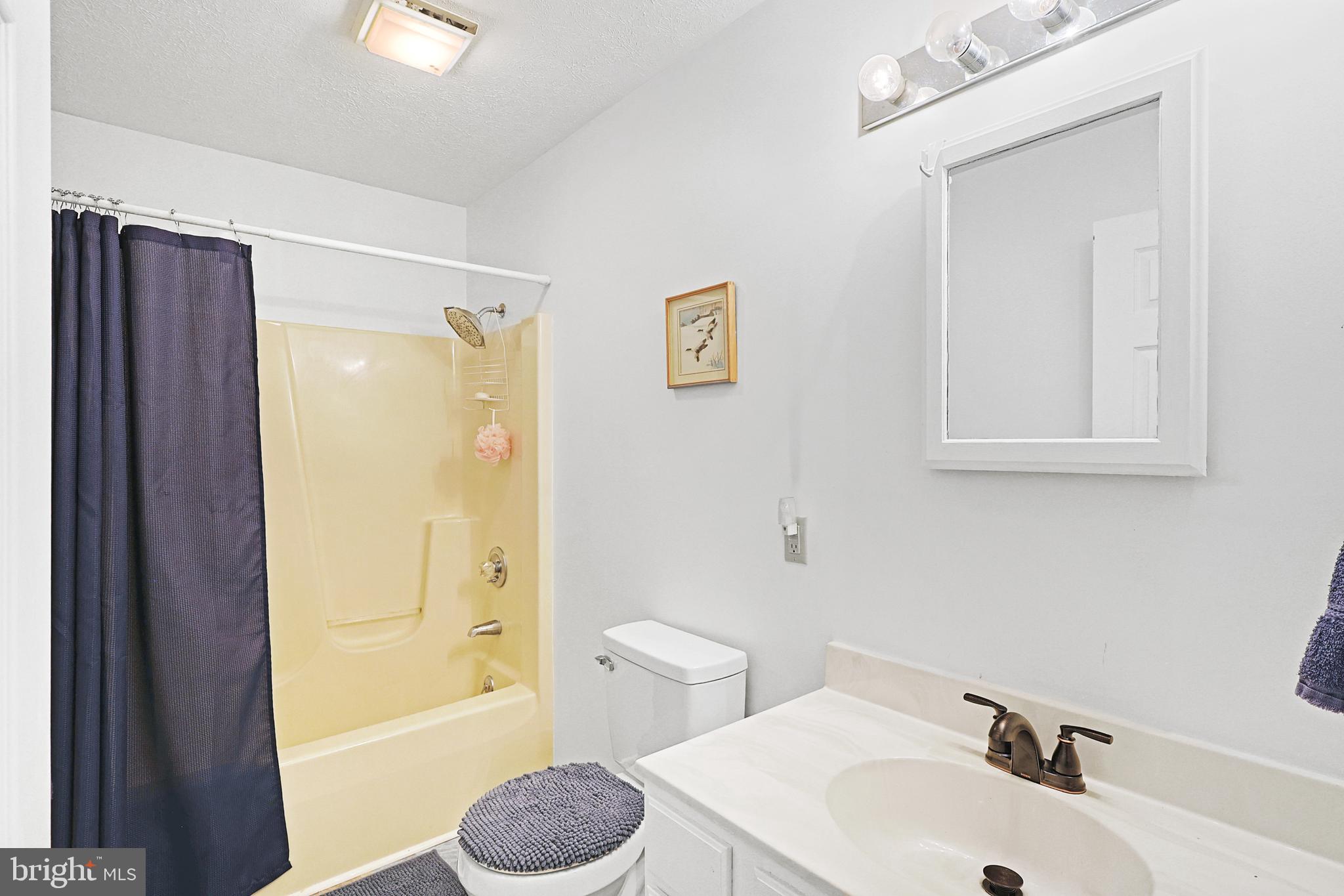 33 Teaberry Ridge Road Lonaconing, MD 21539 - Photo 40 of 86 Full Bath #2