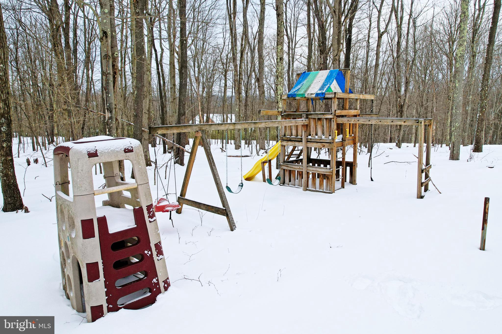 33 Teaberry Ridge Road Lonaconing, MD 21539 - Photo 78 of 101 Play Area