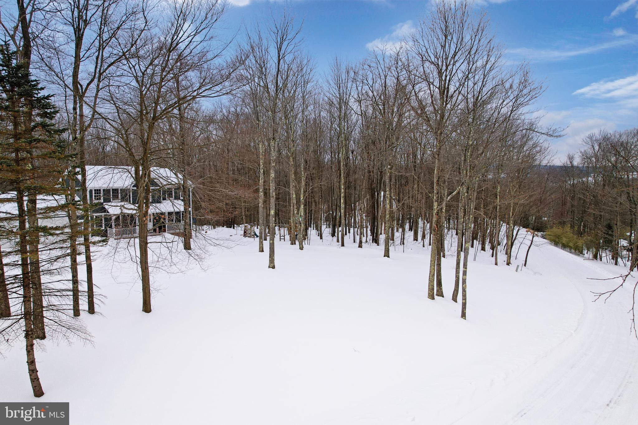 33 Teaberry Ridge Road Lonaconing, MD 21539 - Photo 79 of 101