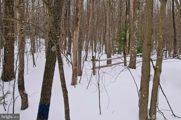 $459,000 | 33 Teaberry Ridge Road, Lonaconing, MD 21539