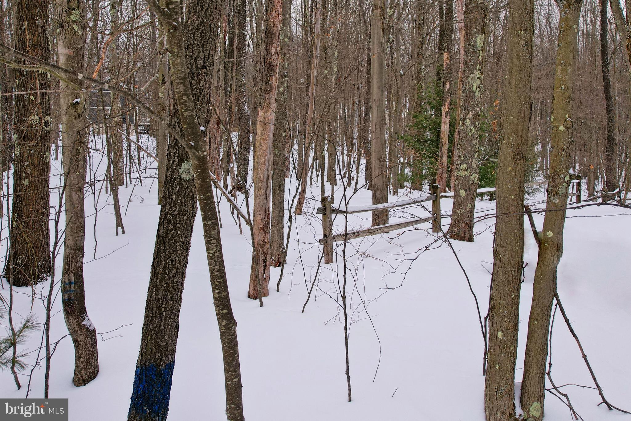 33 Teaberry Ridge Road Lonaconing, MD 21539 - Photo 82 of 86