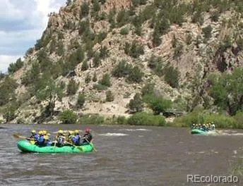 a view of a dry yard with trees