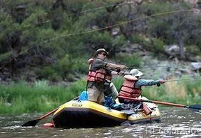 a view of outdoor space and yard