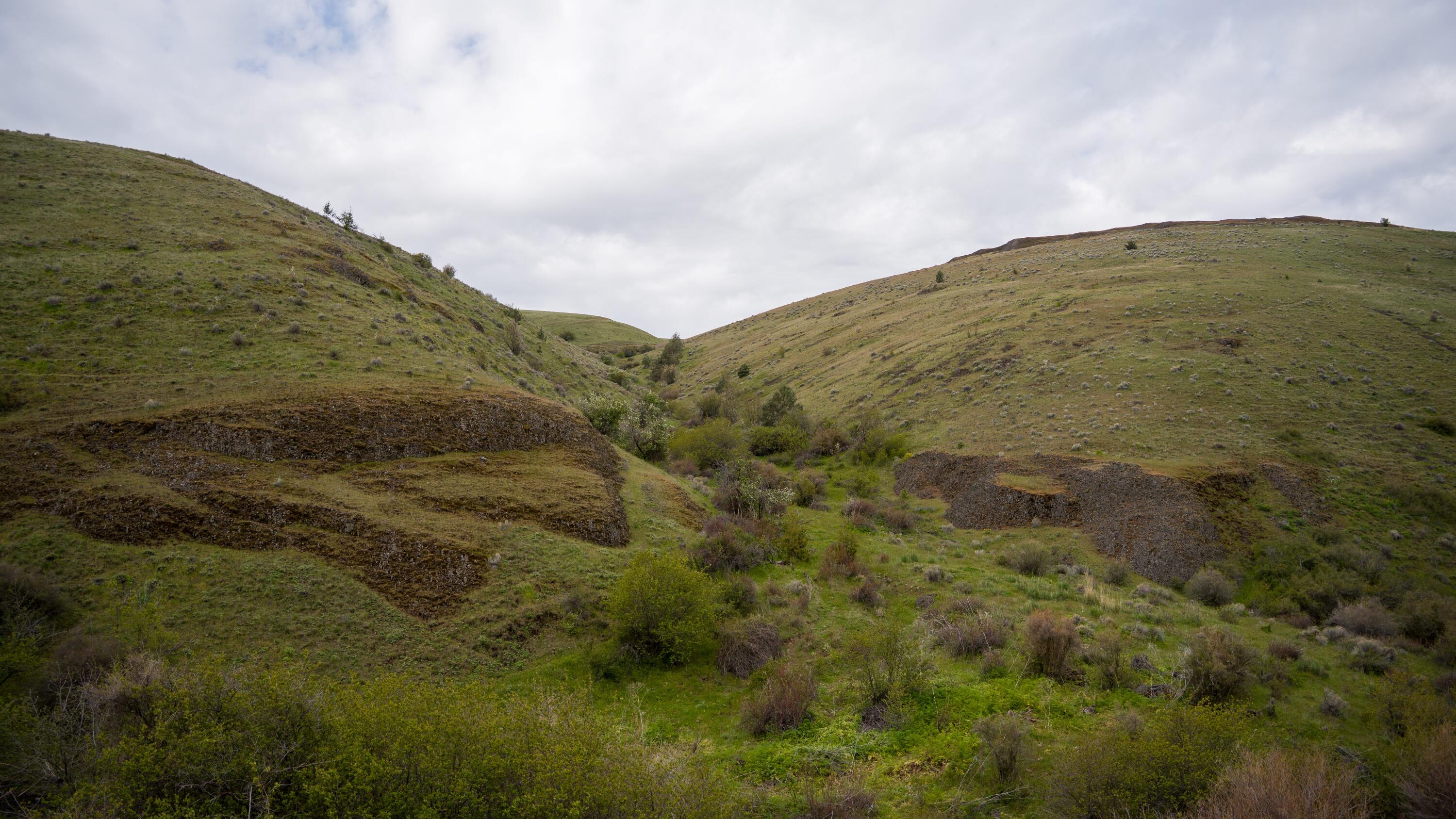 53232 Upper Rhea Creek Road Heppner, OR 97836 - Photo 37 of 40 brushy side canyon oregon thorn creek ra