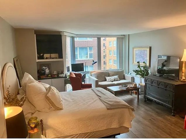 21 West Goethe Street, Unit 11D Chicago, IL 60610 - Photo 3 of 10 a living room with furniture large window and flat screen tv