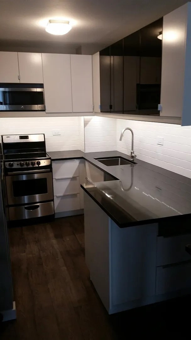 21 West Goethe Street, Unit 11D Chicago, IL 60610 - Photo 4 of 10 a kitchen with granite countertop a sink a stove and cabinets