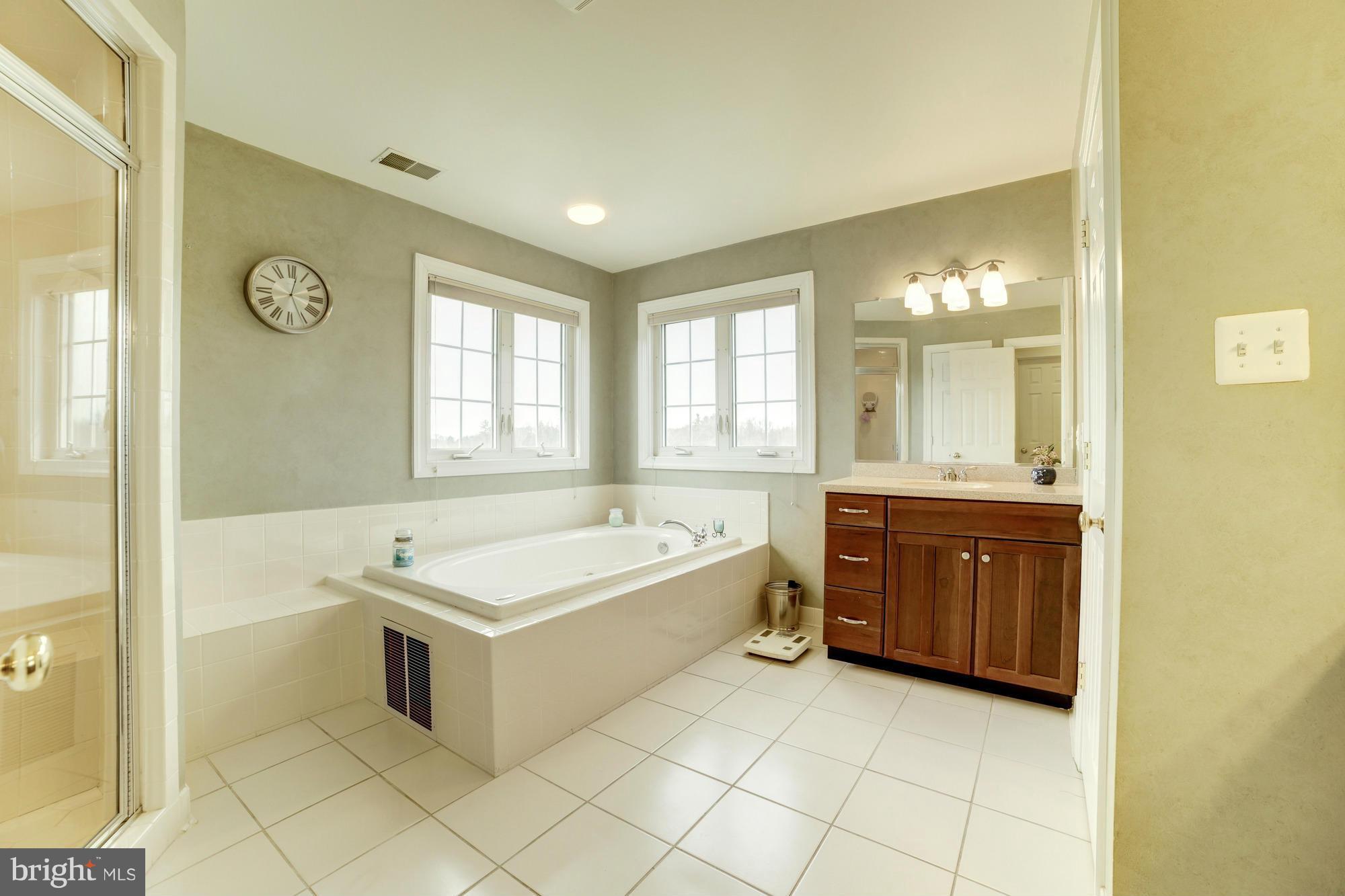 18930 Shelburne Glebe Road Leesburg, VA 20175 - Photo 12 of 30 Bath (Master)