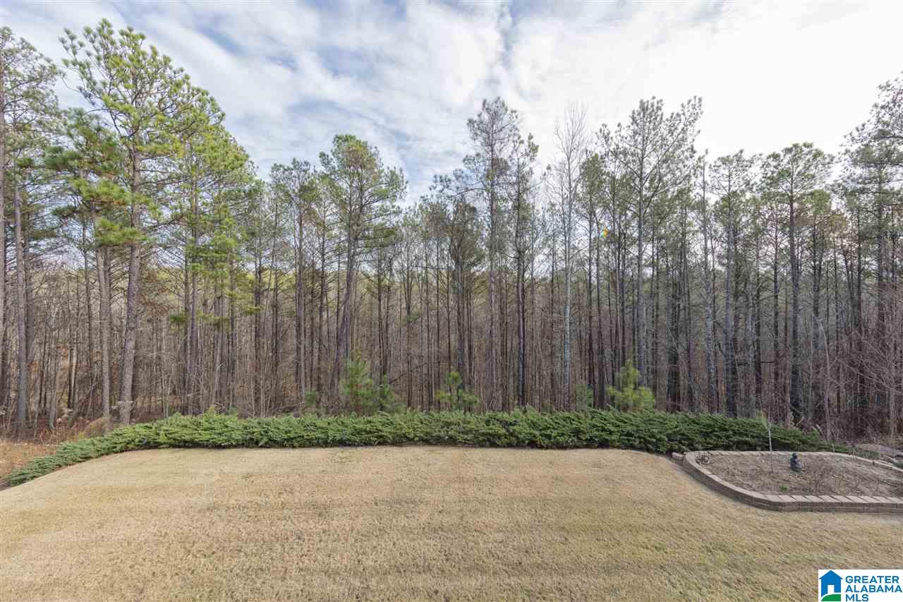 249 Stoneykirk Way Pelham, AL 35124 - Photo 40 of 49