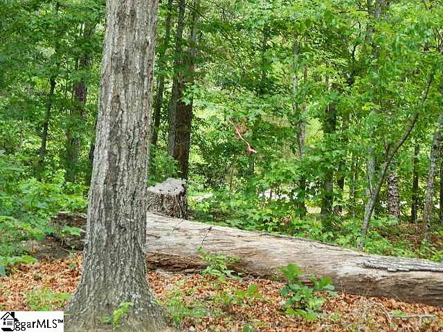 118 Cothran Road Belton, SC 29627 - Photo 12 of 30