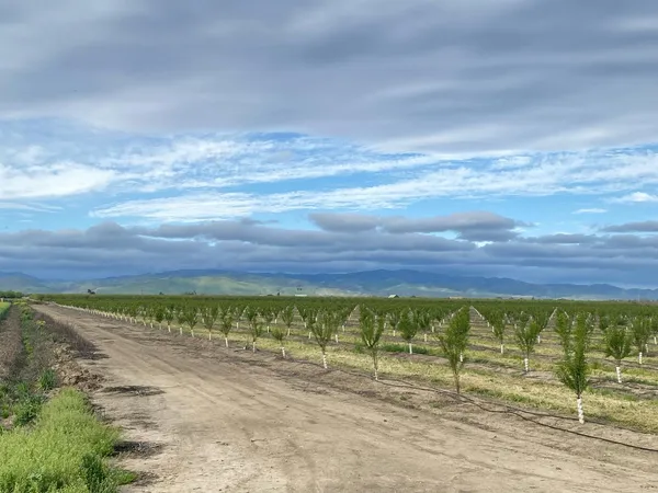 $5,719,500 | 12742 Elm Avenue, Patterson, CA 95363