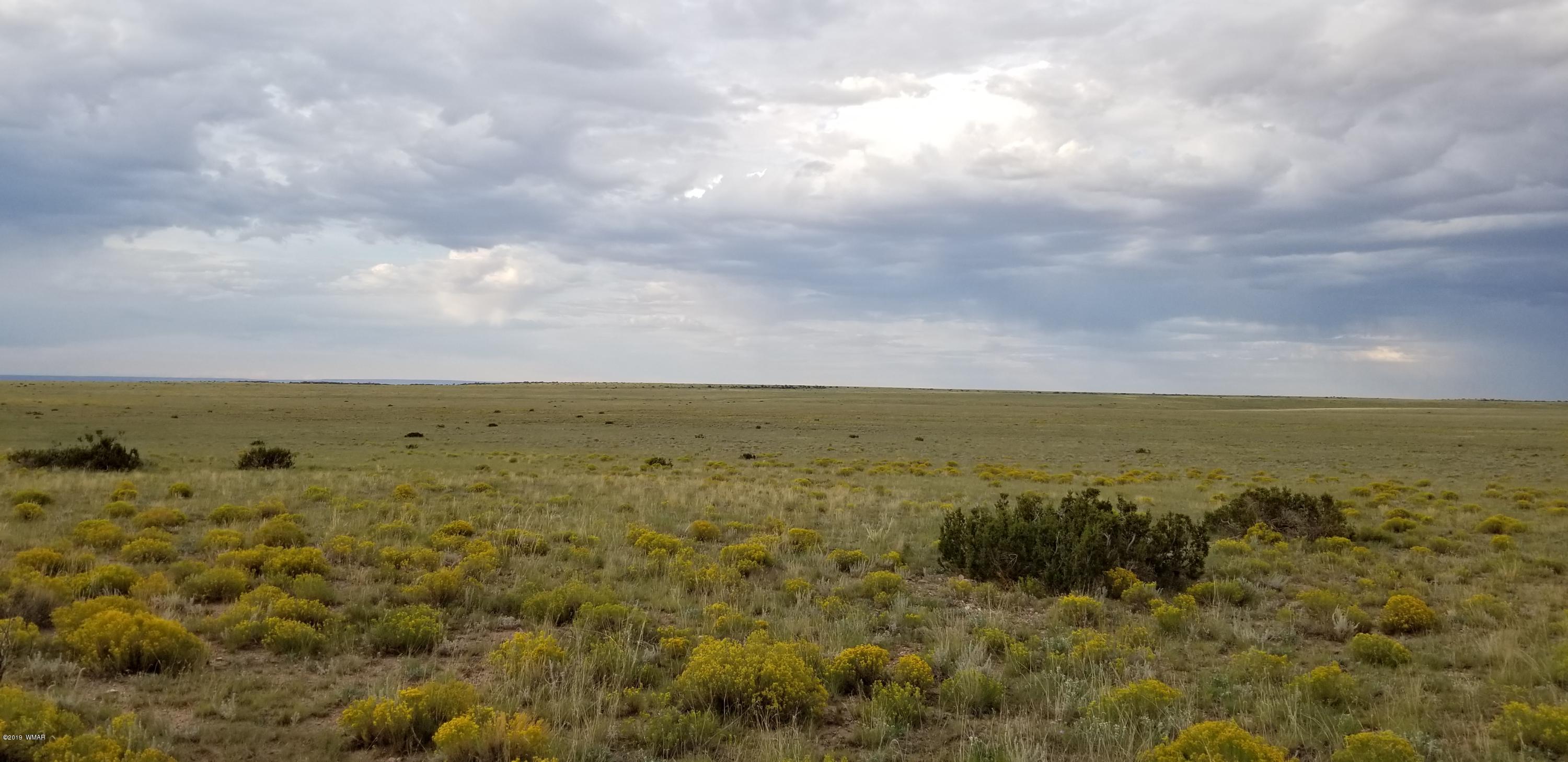 Lot 81 Elk Valley Ranch St. Johns, AZ 85936 - Photo 1 of 16