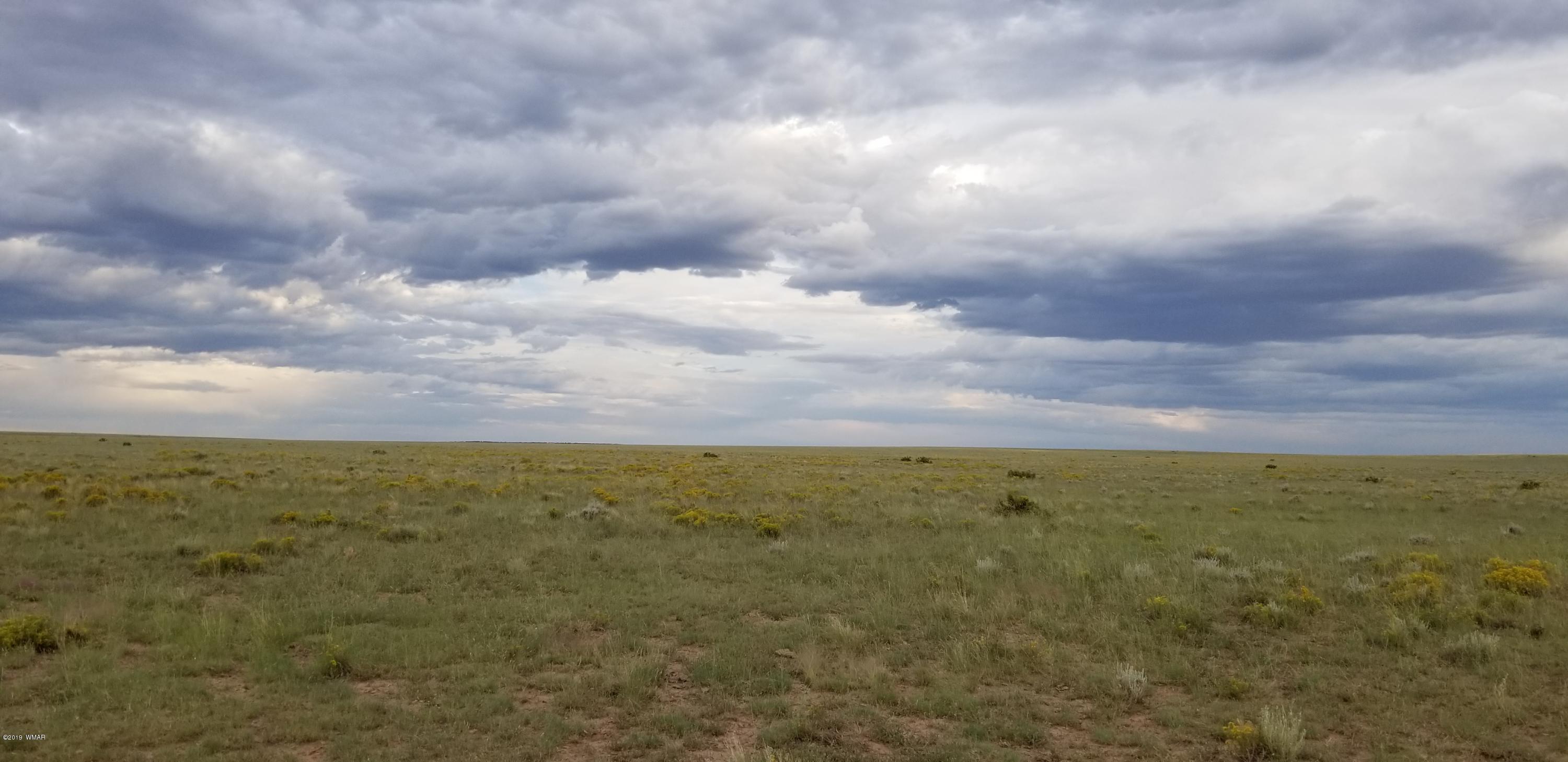 Lot 81 Elk Valley Ranch St. Johns, AZ 85936 - Photo 11 of 16