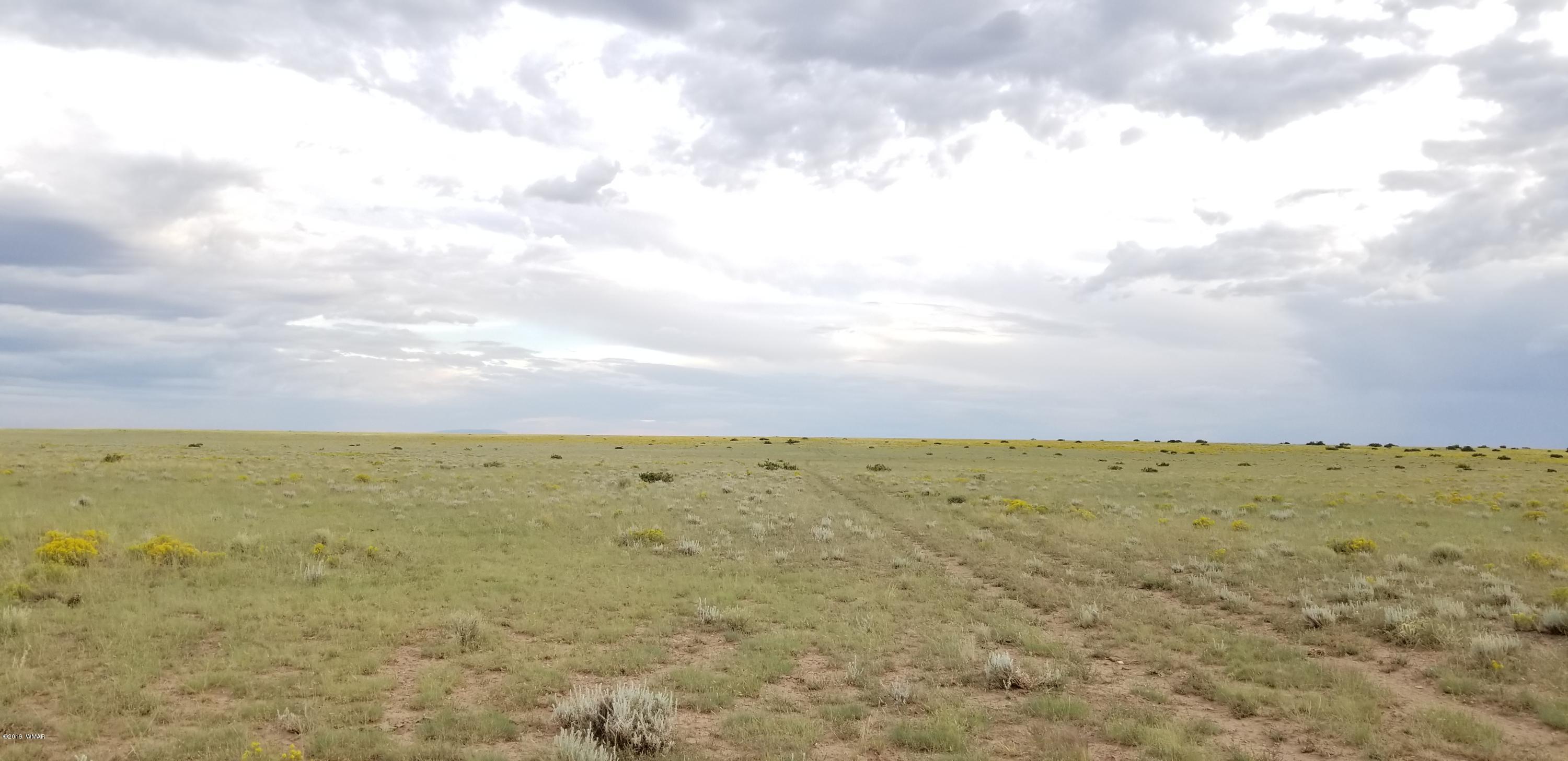 Lot 81 Elk Valley Ranch St. Johns, AZ 85936 - Photo 13 of 16