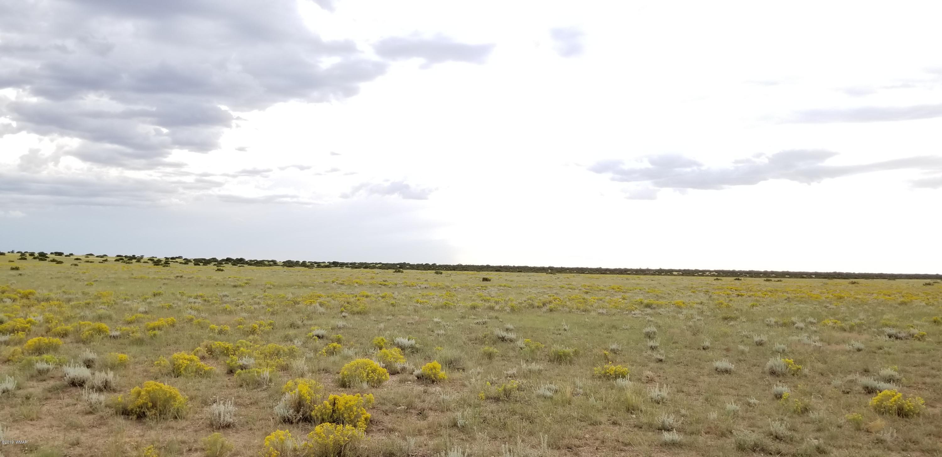 Lot 81 Elk Valley Ranch St. Johns, AZ 85936 - Photo 14 of 16