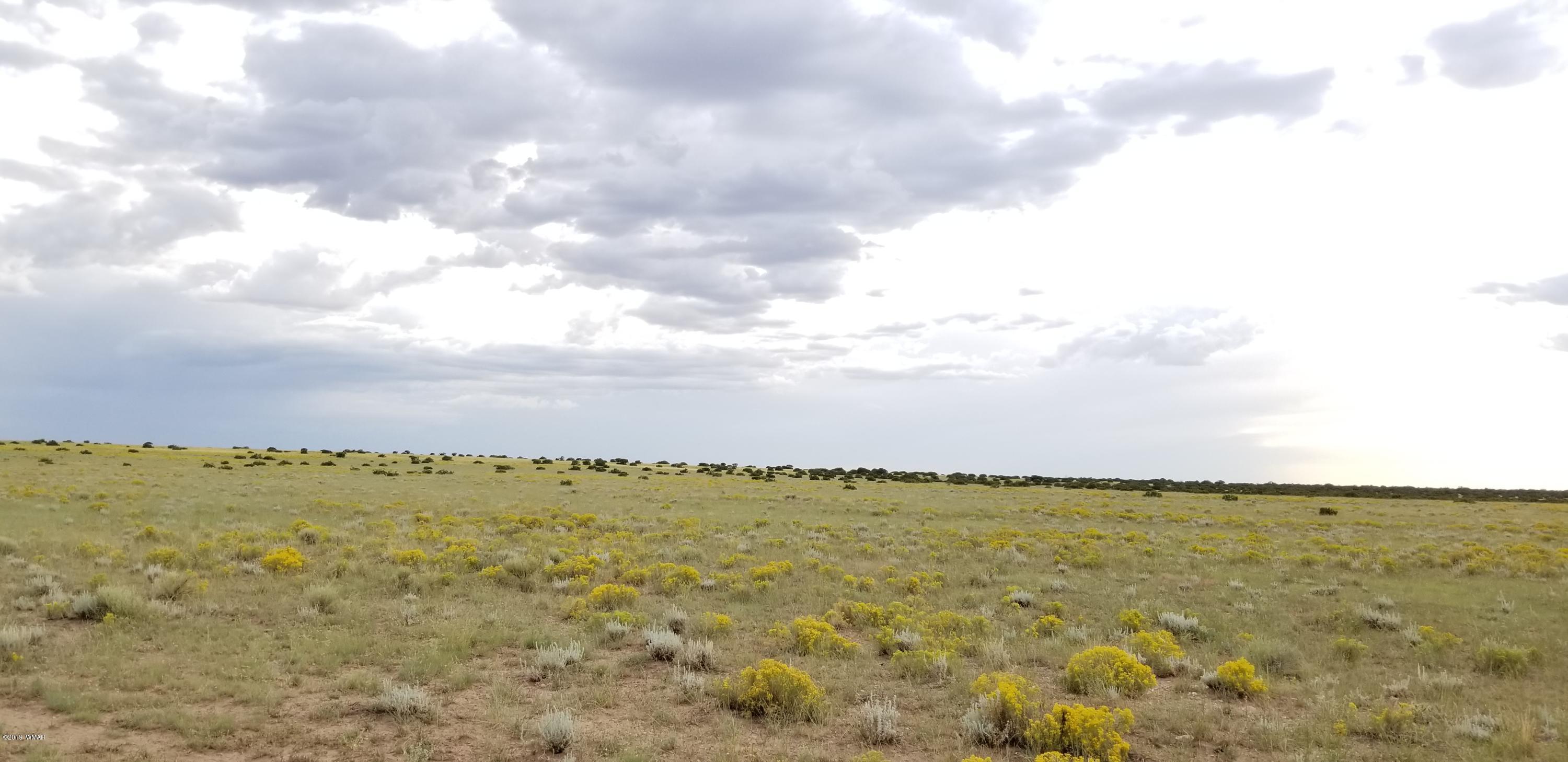 Lot 81 Elk Valley Ranch St. Johns, AZ 85936 - Photo 15 of 16