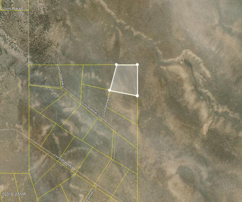 Lot 81 Elk Valley Ranch St. Johns, AZ 85936 - Photo 16 of 16