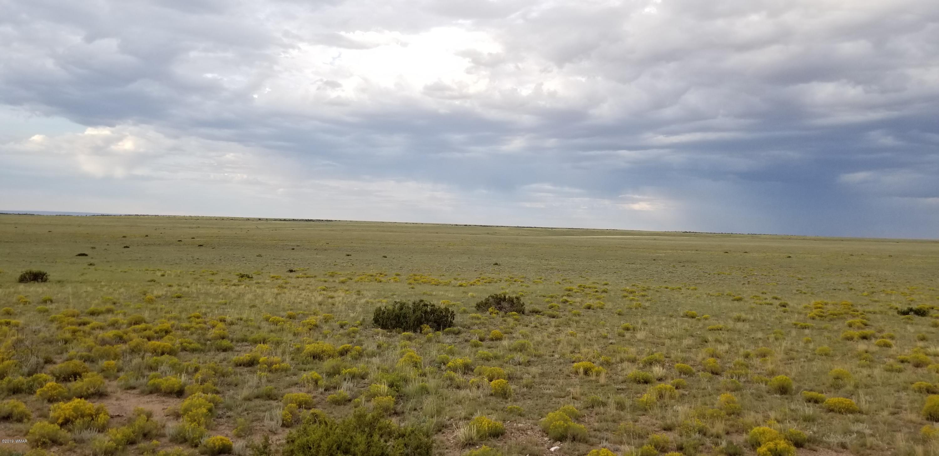 Lot 81 Elk Valley Ranch St. Johns, AZ 85936 - Photo 6 of 16