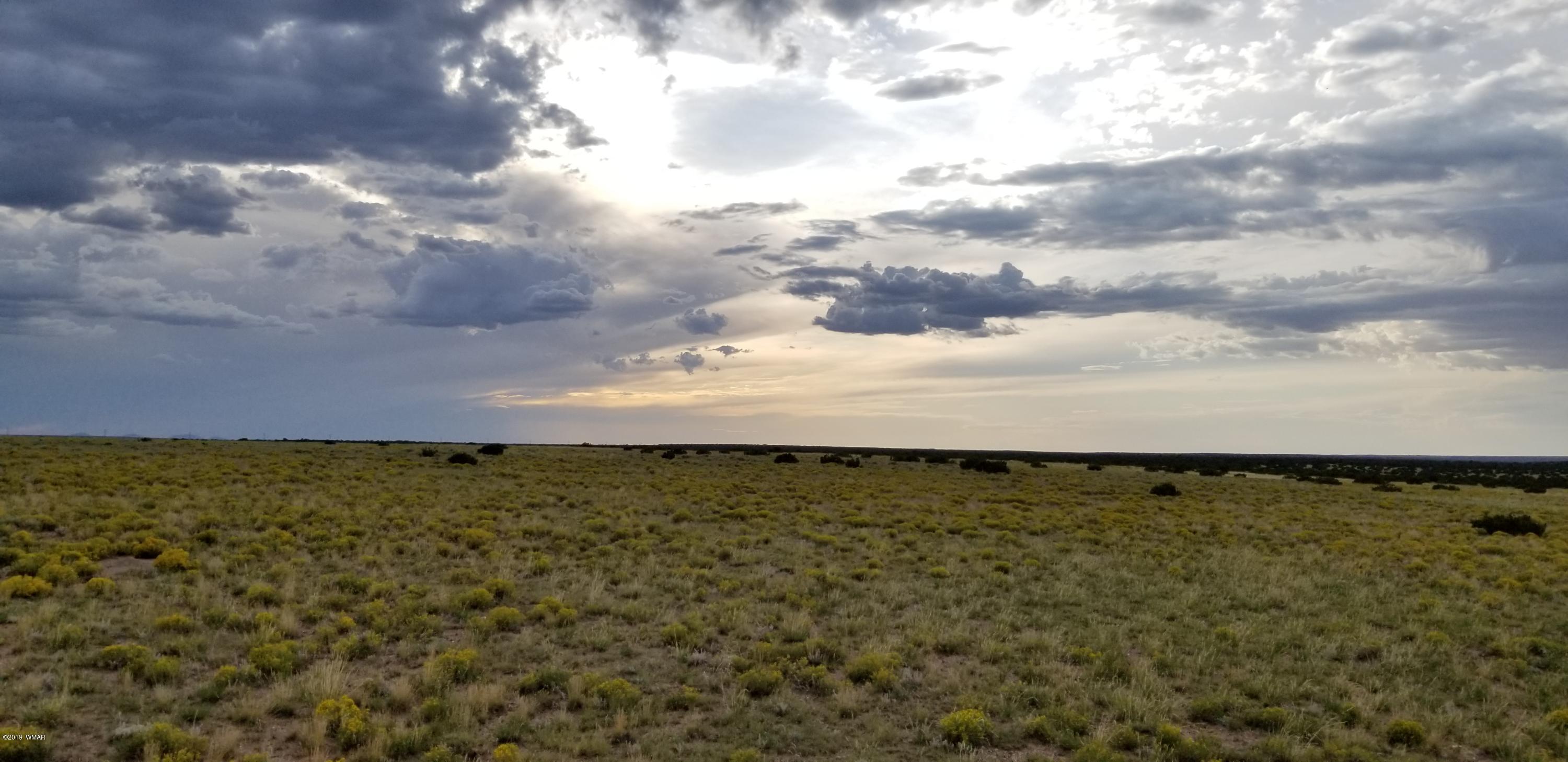 Lot 81 Elk Valley Ranch St. Johns, AZ 85936 - Photo 10 of 16