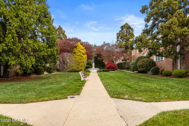 a view of park with large trees