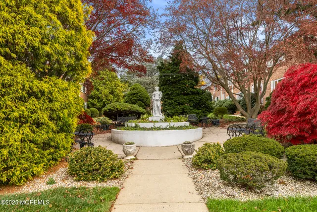 a view of a yard with plants