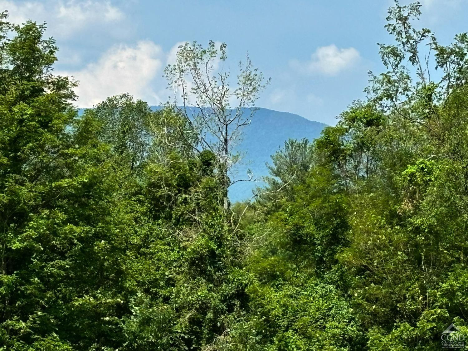 195 Grove School Road Catskill, NY 12414 - Photo 2 of 29 Photo 2