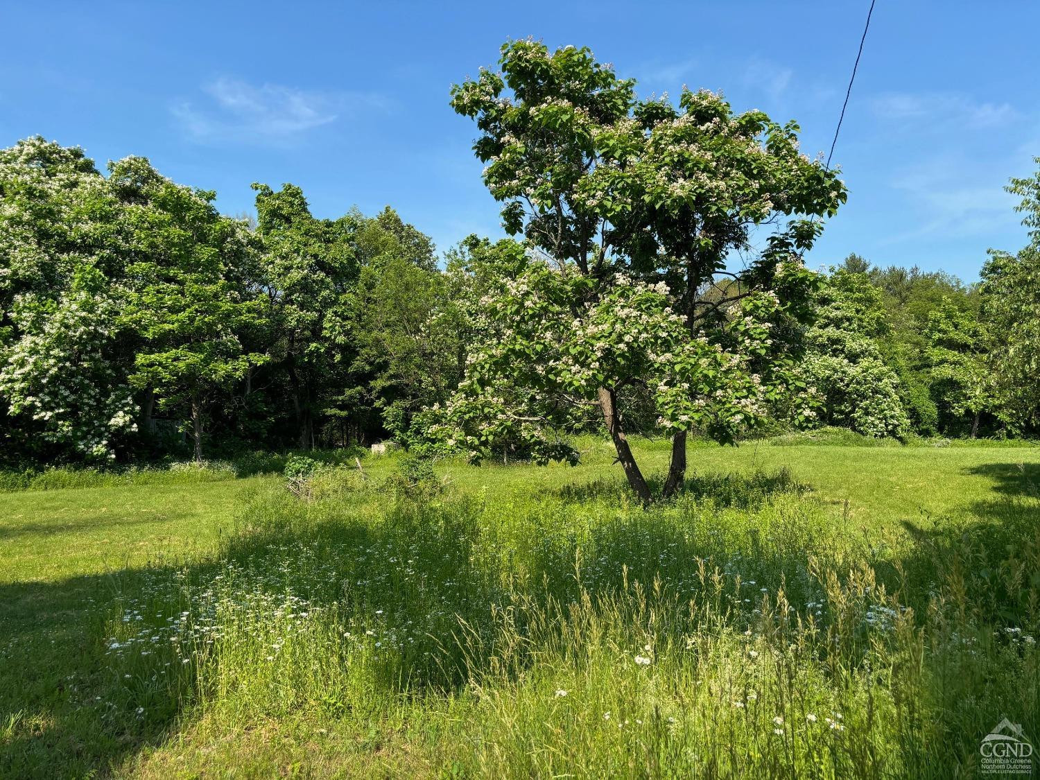 195 Grove School Road Catskill, NY 12414 - Photo 21 of 29 Photo 21