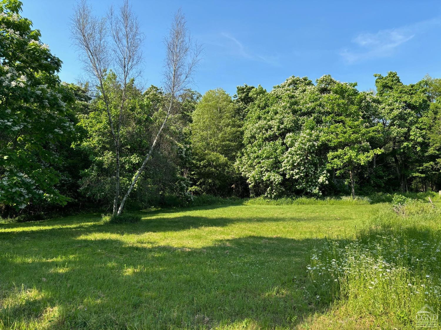 195 Grove School Road Catskill, NY 12414 - Photo 22 of 29 Photo 22