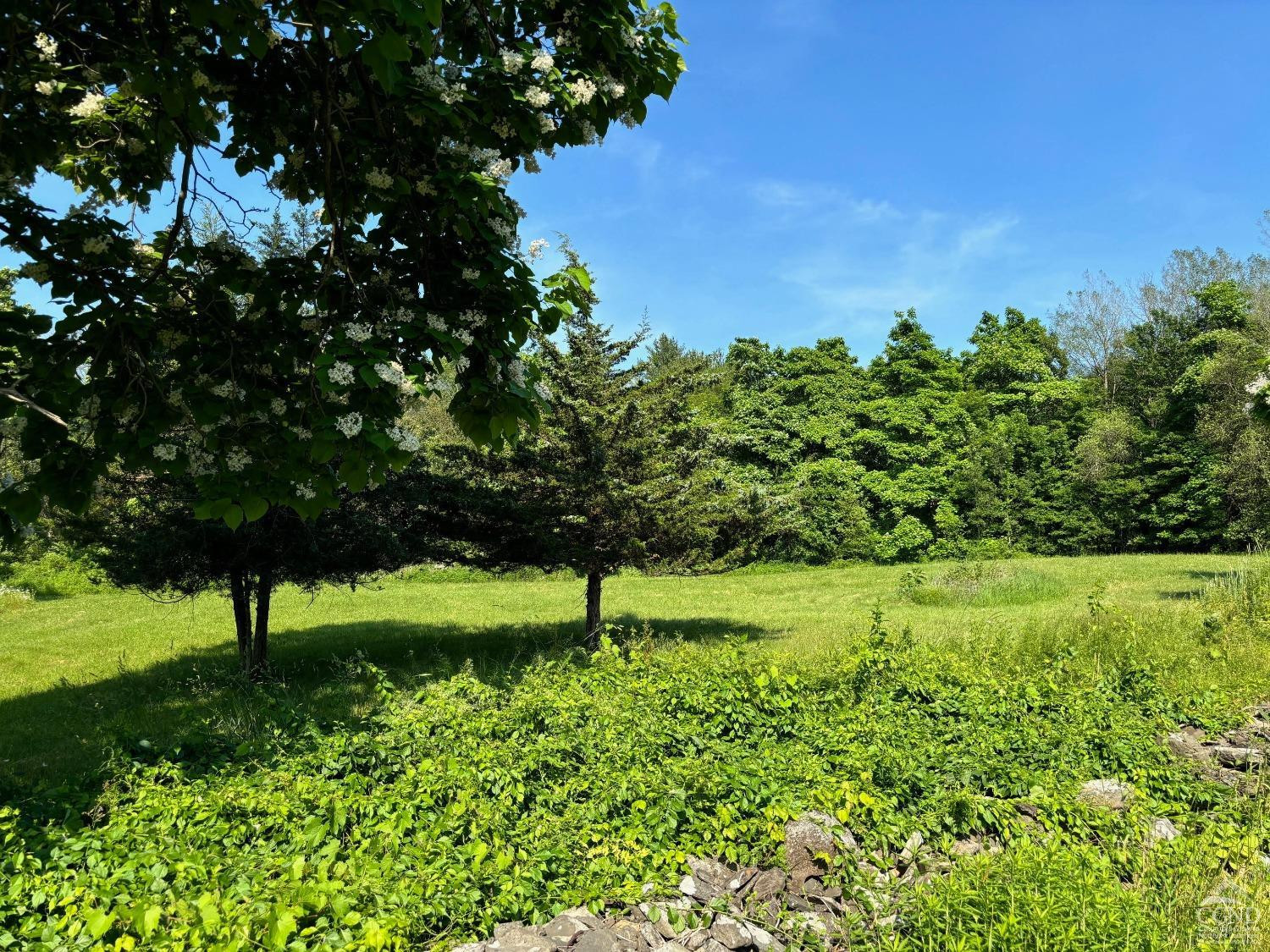 195 Grove School Road Catskill, NY 12414 - Photo 23 of 29 Photo 23