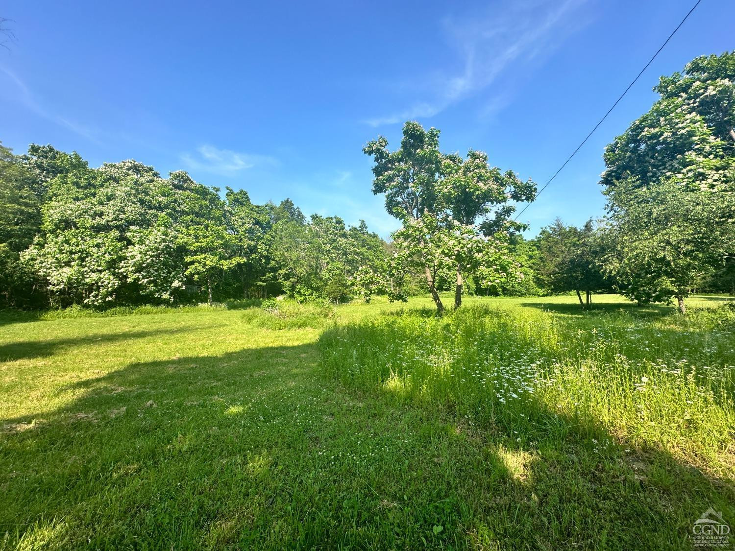 195 Grove School Road Catskill, NY 12414 - Photo 25 of 29 Photo 25