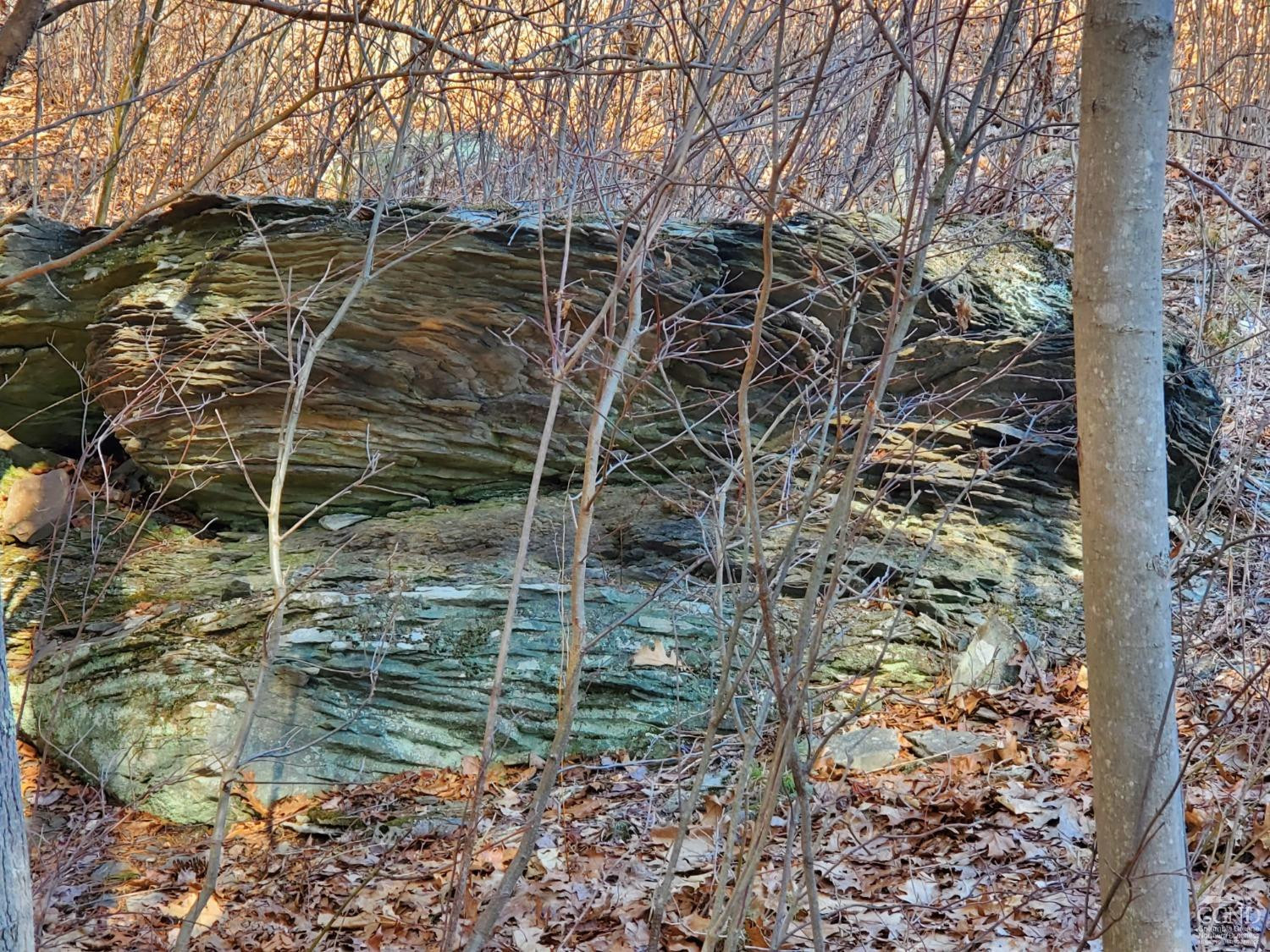 195 Grove School Road Catskill, NY 12414 - Photo 26 of 29 Photo 26