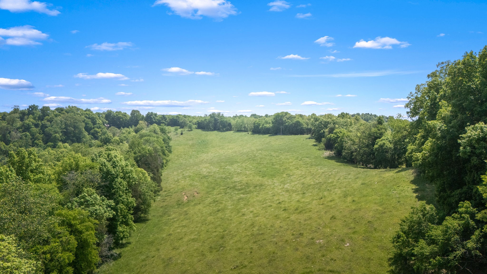 0 Simmons Road Belvidere, TN 37306 - Photo 1 of 8 Gallery Image 1