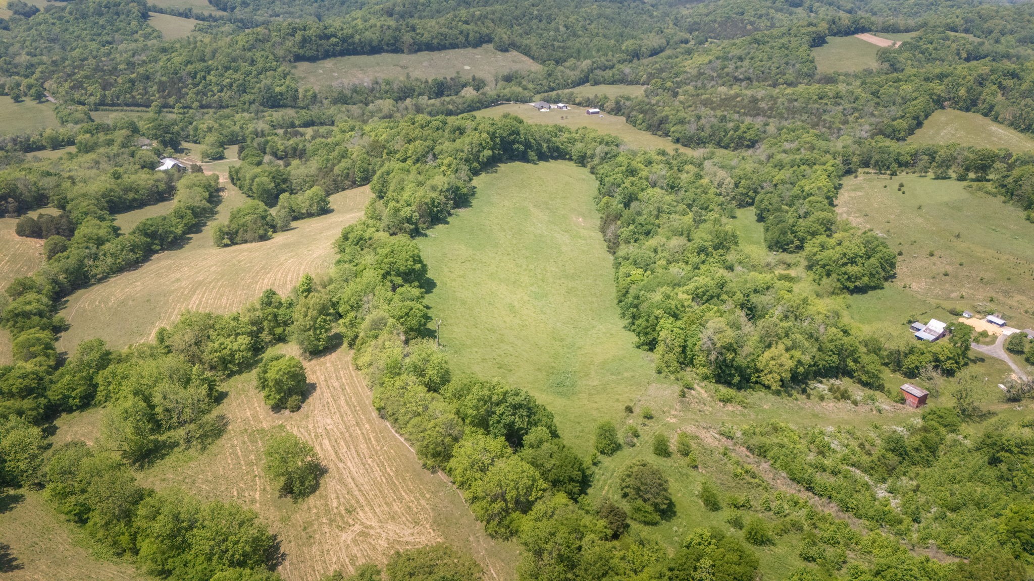 0 Simmons Road Belvidere, TN 37306 - Photo 3 of 8 Gallery Image 3