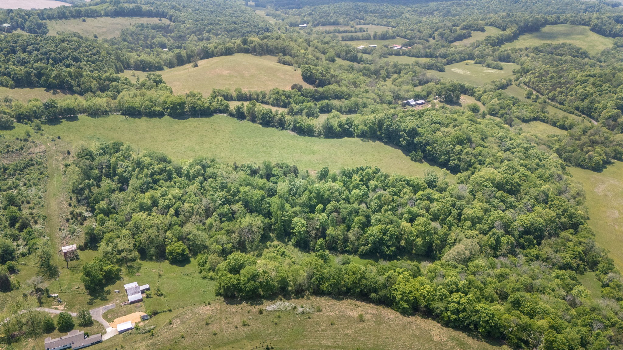 0 Simmons Road Belvidere, TN 37306 - Photo 6 of 8 Gallery Image 6
