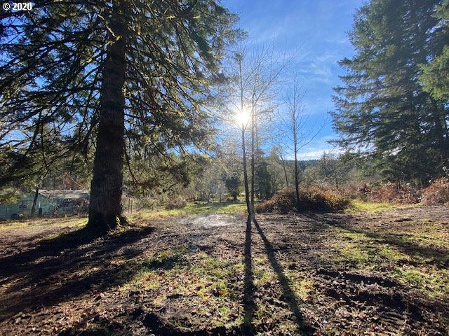 38816 Wendling Road Marcola, OR 97454 - Photo 21 of 28 Gallery Image 21