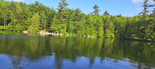 351 East Hopkins Pond Road Ellsworth, ME 04605 - Photo 25 of 30 View From Water
