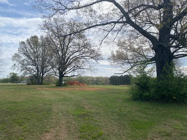 a view of a field with trees
