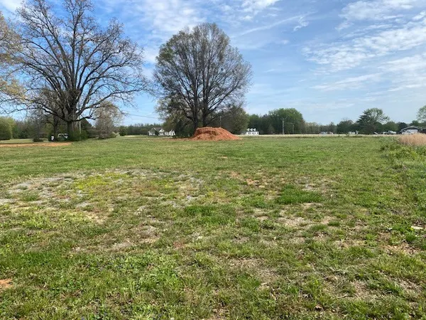 a view of a field with large trees