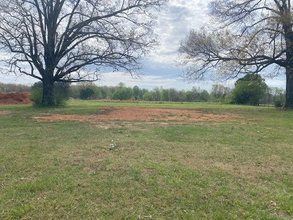 a view of field with large trees