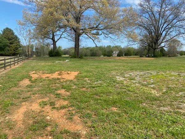 a view of a yard with a fountain