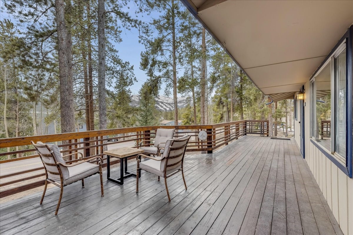 1981 Boreas Pass Road Breckenridge, CO 80424 - Photo 22 of 50