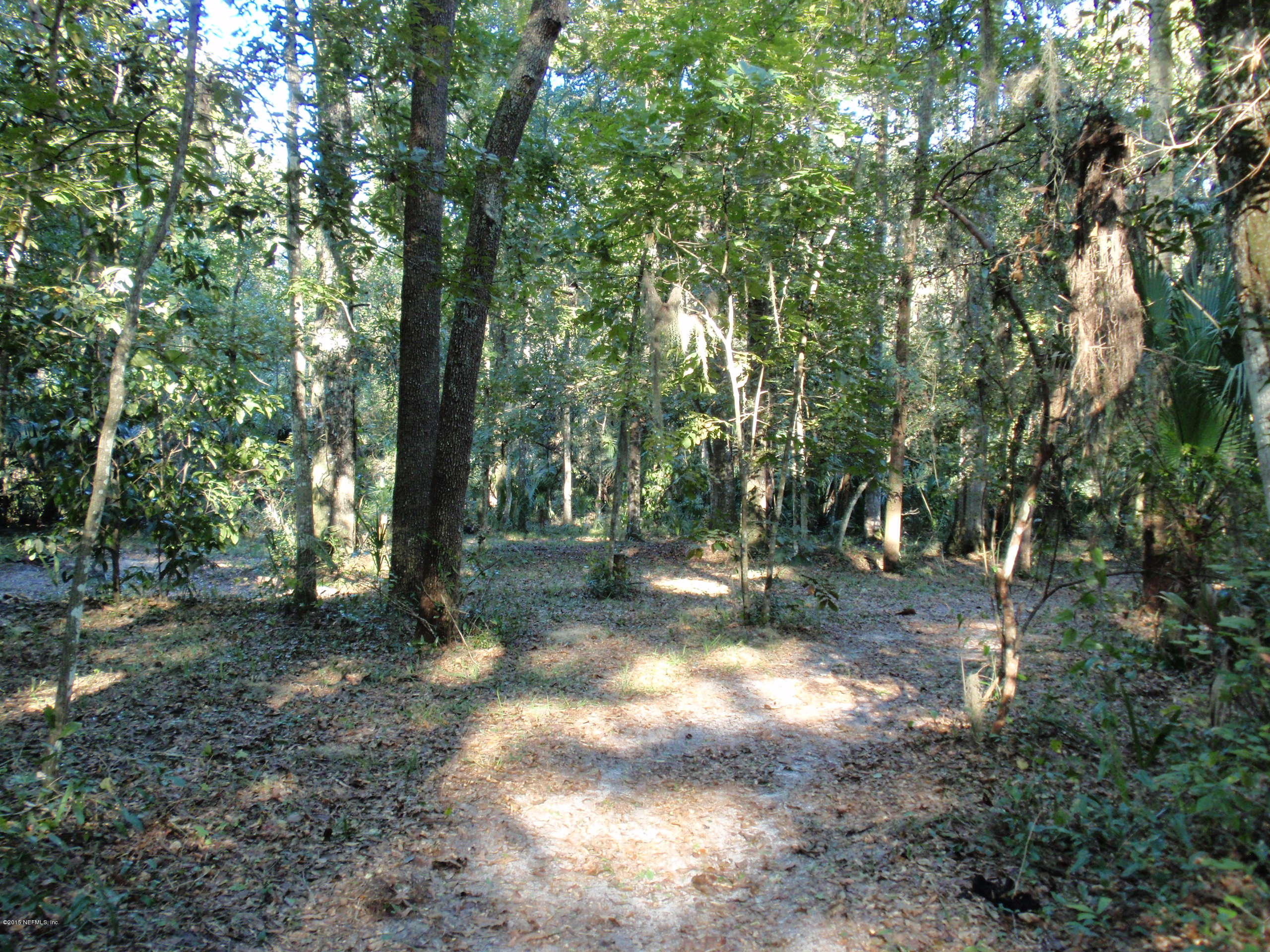 320 East Buffalo Bluff Road Satsuma, FL 32189 - Photo 13 of 15 Mature trees on the property