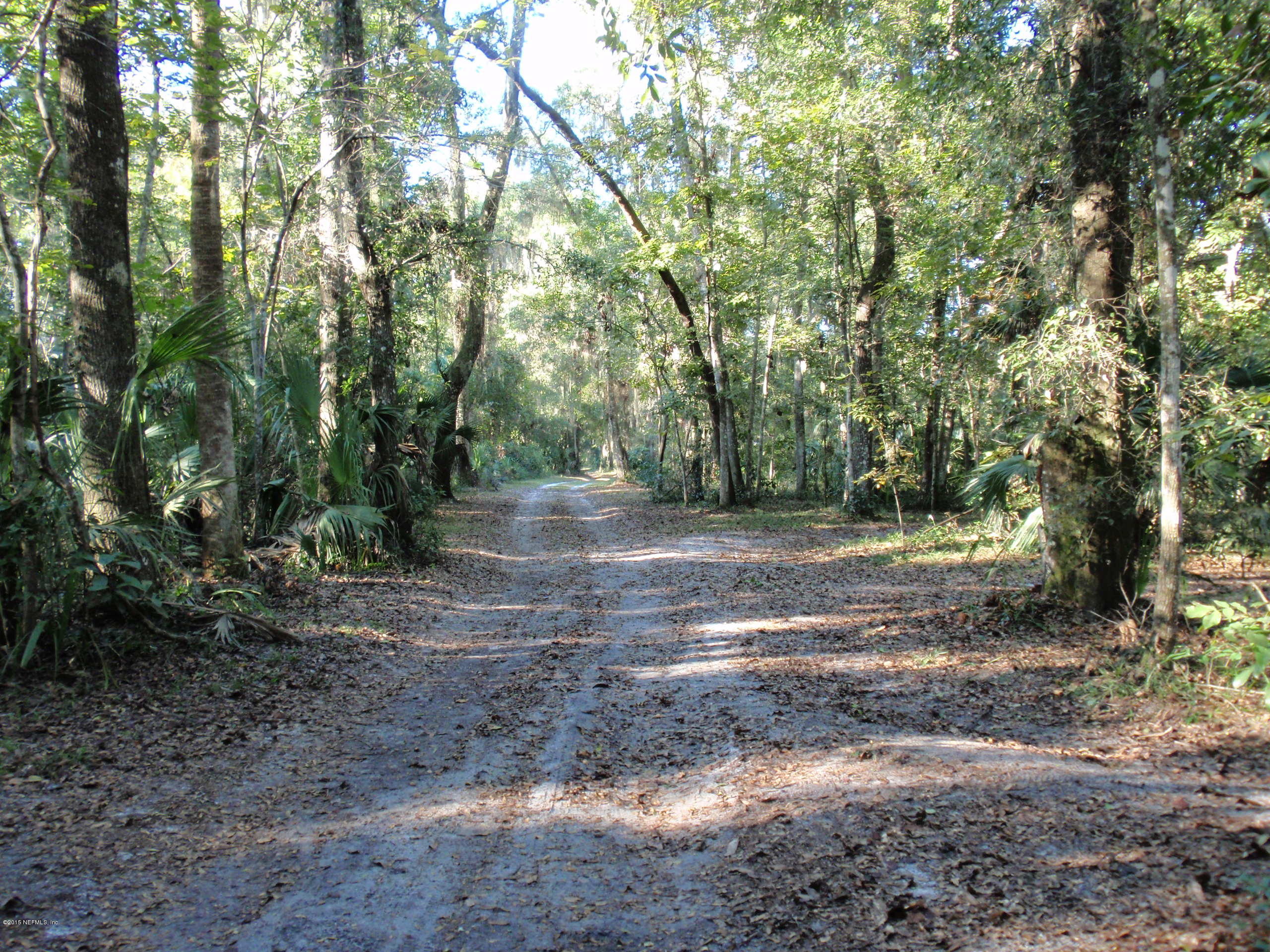 320 East Buffalo Bluff Road Satsuma, FL 32189 - Photo 15 of 15 Driveway