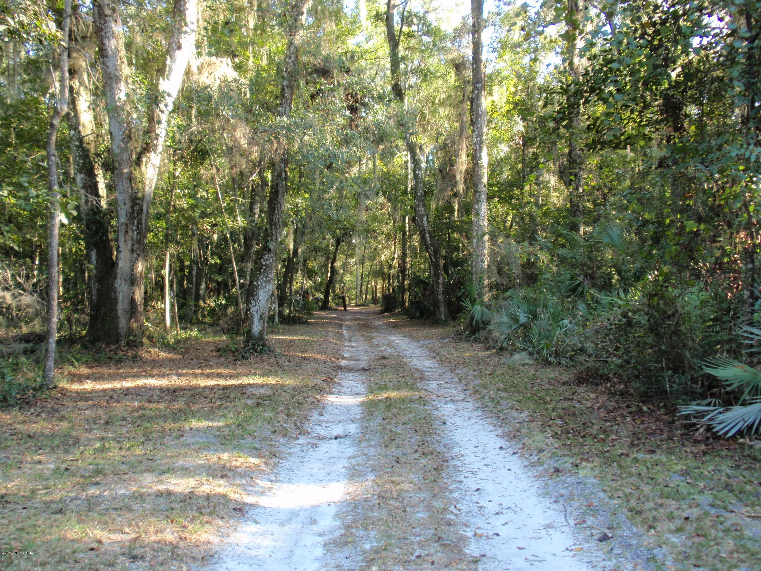 320 East Buffalo Bluff Road Satsuma, FL 32189 - Photo 9 of 15 Driveway