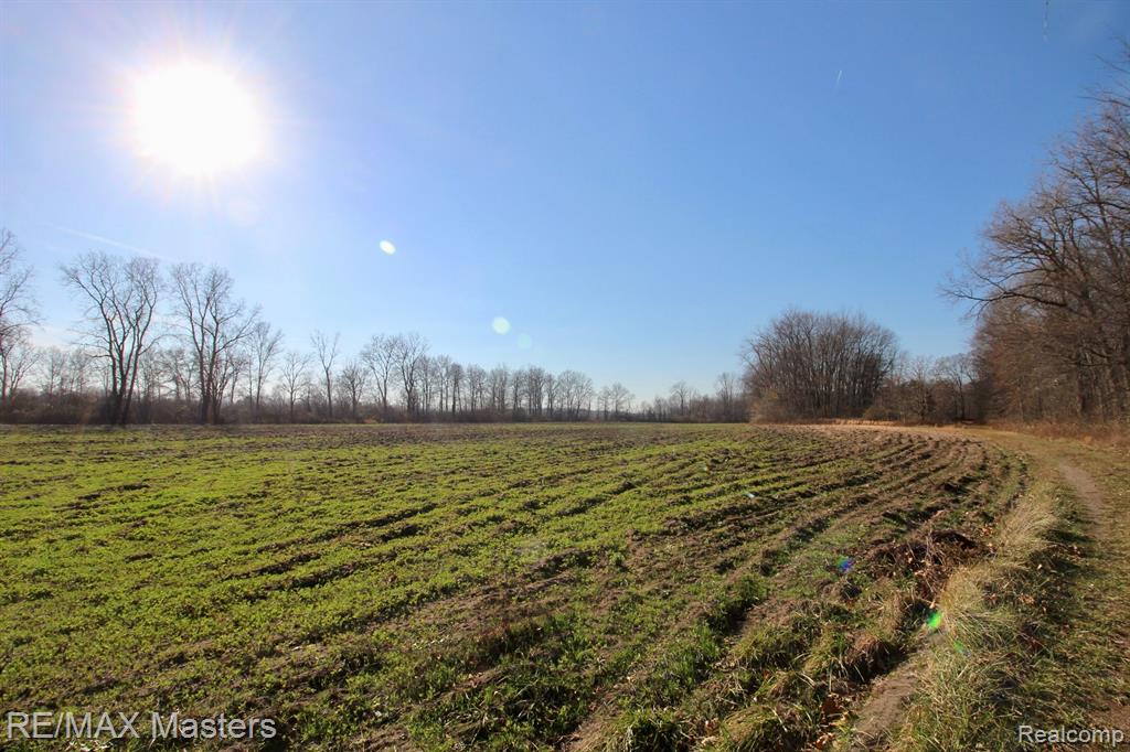12527 Sumpter Road Carleton, MI 48117 - Photo 24 of 33