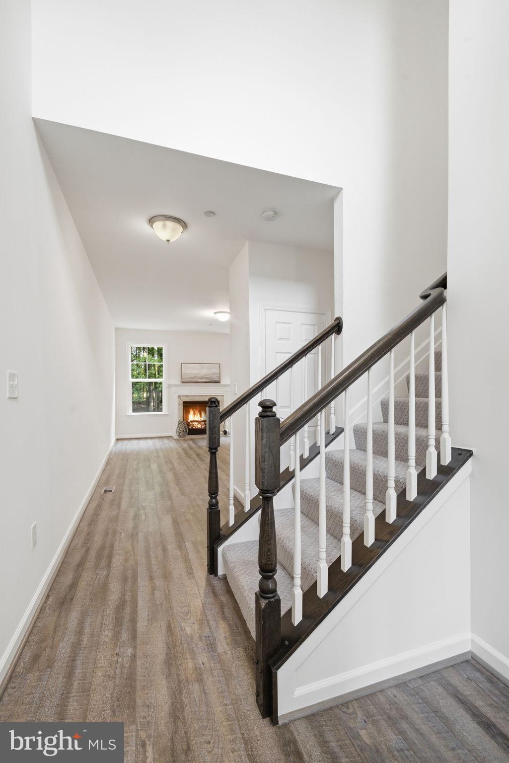 124 Riverside Drive Chester, MD 21619 - Photo 6 of 44 Inviting entryway with elegant staircase.