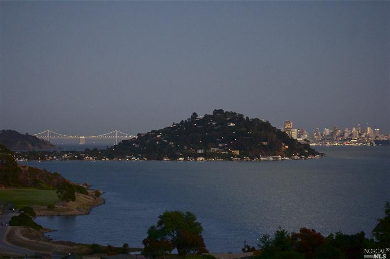 38 Reed Ranch Road Tiburon, CA 94920 - Photo 1 of 1 an aerial view of a city