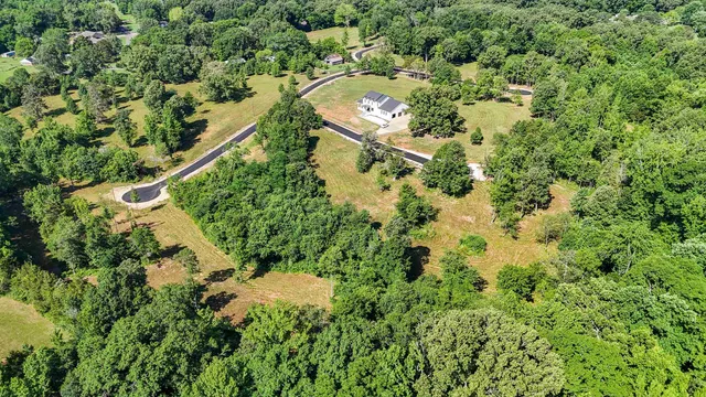 an aerial view of residential houses with outdoor space and trees